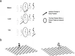 Causal Action: A Fundamental Constraint on Perception of Bodily Movements ​
