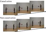 Causal actions enhance perception of continuous body movements​