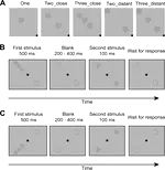  Spatial summation revealed in the earliest visual evoked component C1 and the effect of attention on its linearity