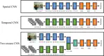 Exploring biological motion perception in two-stream convolutional neural networks