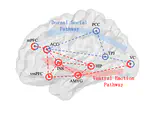 The mechanism of emotion processing and intention inference in social anxiety disorder based on biological motion