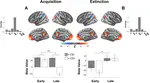 Broadening the scope: Multiple functional connectivity networks underlying threat conditioning and extinction