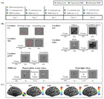 Human Visual Pathways for Action Recognition Versus Deep Convolutional Neural Networks: Representation Correspondence in Late But Not Early Layers