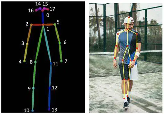 The hierarchical representation of human actions and convolutional neural networks