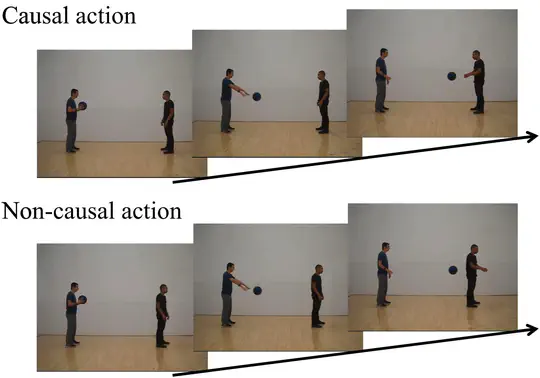 Perceiving causal human actions