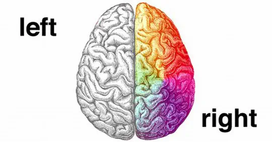 Neurobiological substrates of mental disorders and potential treatments